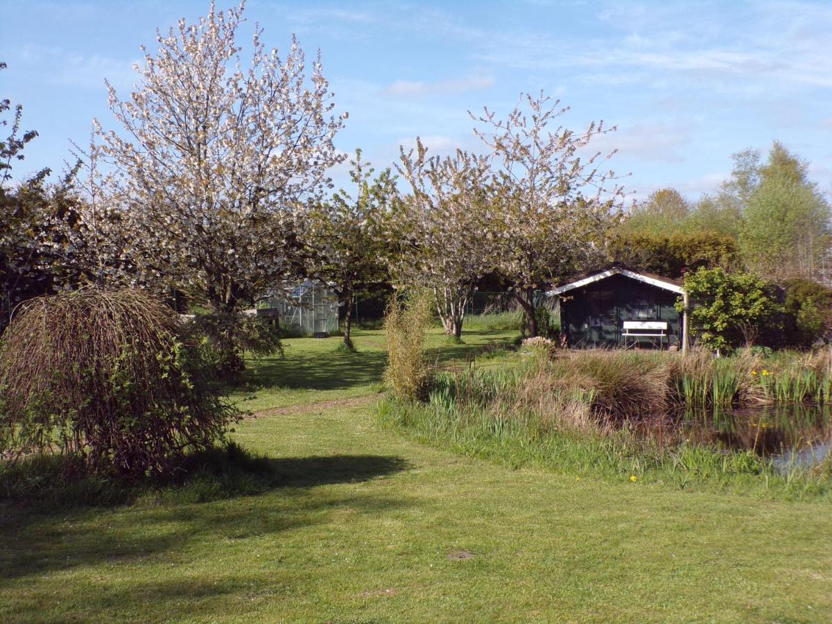 Ferienwohnung Aurich Sandhorst Eg Mit Terrasse Und Kleinem Garten Zewnętrze zdjęcie
