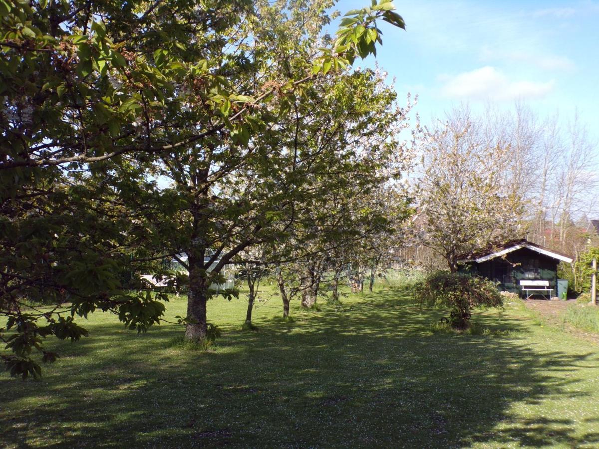 Ferienwohnung Aurich Sandhorst Eg Mit Terrasse Und Kleinem Garten Zewnętrze zdjęcie
